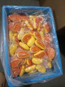 친환경 3-in-1 고양이 스팀 브러쉬 셀프 클리닝 고양이 털 제거 그루밍 스프레이 (고양이 & 강아지용) 도매 - Product Image 5