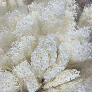 Fiori Secchi Preservati, Bouquet Eterno per Matrimoni, Composizioni Floreali Fai-da-Te per Pasqua, San Valentino, Festa della Mamma, Natale - Product Image 4