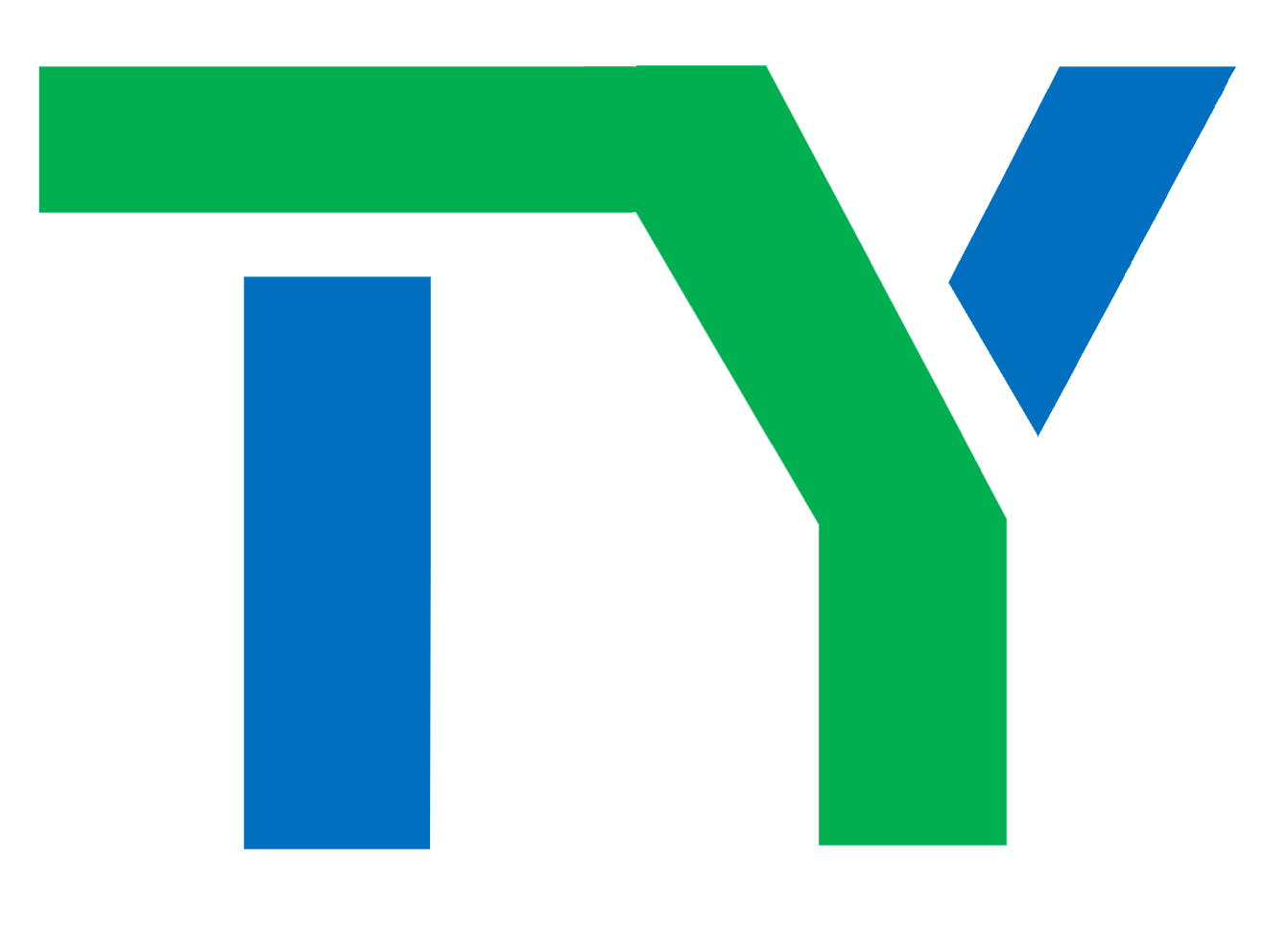 Hebei Tiyon Technology Co., Ltd. logo