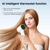Nouveauté 1600W BLDC moteur AI détection intelligente professionnel sèche-cheveux électrique diffuseur haute vitesse souffleur de cheveux hôtels