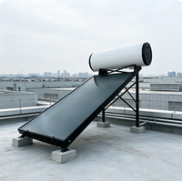 Chauffe-eau solaire pressurisé à plaque plate intégré puissant Lebria 300L pour installation sur toit résidentiel