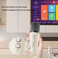 Sistema de Karaoke KTV Portátil con Logo Personalizado Mini Altavoz Reproductor de MP3 Bocina de Música Bluetooth con Micrófono
