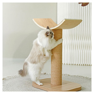 Morbido e facile da impugnare, ehi, ha un'intera giornata <span class=keywords><strong>di</strong></span> divertente smalto robusto e resistente dagli artigli buon graffio materiale per gatti - Product Image 3