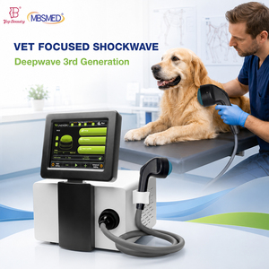 Appareil de thérapie par ondes de choc focalisées multifonctionnel FSWT, appareil de thérapie par ondes de choc douces focalisées pour la physiothérapie vétérinaire - Product Image 1