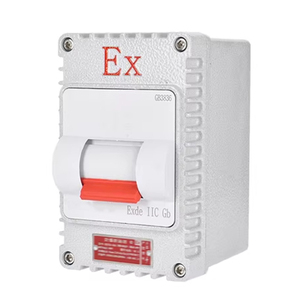 <span class=keywords><strong>Disjoncteur</strong></span> de sécurité antidéflagrant 220V 10A/20A/32A/40A/63A 2P, interrupteur mural/vertical étanche à l'eau pour circuit unique - Product Image 5