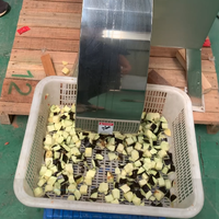 SHENGHE Hoge Prestatie Aangepaste Multifunctionele Fruit- en Groente Snijmachine - 1 Jaar Garantie 380V/220V/110V