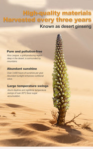 สารสกัดสมุนไพรจีนช่วยเพิ่มความแข็งตัวของอวัยวะเพศชาย ช่วยเพิ่มความรู้สึกทางเพศสำหรับผู้ใหญ่ ผู้ชาย โปรโมชั่นเครื่องดื่มเสริมความเป็นชาย OEM ODM - Product Image 4