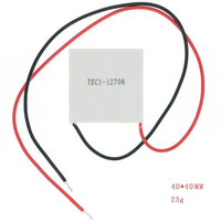 TEC1 12706 12705 Refroidisseur Thermoélectrique Peltier 40*40MM 12V Nouveau Semi-conducteur Réfrigération Refroidisseur Thermoélectrique Module Peltier