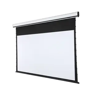 Telon Supplier Motorized In Ceiling Screen Projector Outdoor Screen With Control Tubular Motor
