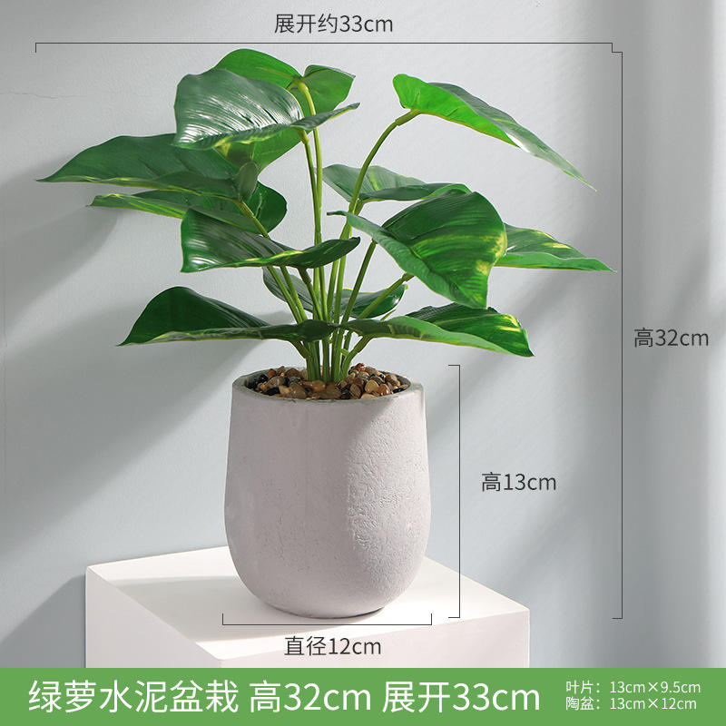 Bassin nordique en ciment à l'aneth vert