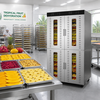 Déshydrateur alimentaire commercial 96 plateaux en acier inoxydable, séchoir électrique automatique pour fruits, légumes et piments