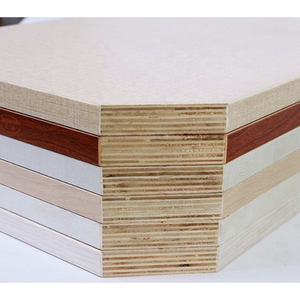 <span class=keywords><strong>Panneau</strong></span> de bois composite en mélamine 13 couches norme E0 de Chine, en eucalyptus et <span class=keywords><strong>peuplier</strong></span>, choix écologique sans formaldéhyde - Product Image 3
