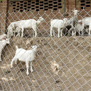 Tùy Chỉnh Cyclone Hàng Rào 4ft 6ft 8ft Đen Nhựa Vinyl Tráng Chuỗi Liên Kết Hàng Rào Và Cổng Sản Xuất - Product Image 6