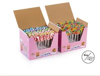 12g Regenboog Swirl Fruitlollipop Gemengd Fruit Snoep