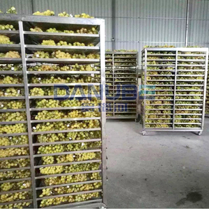 Small Fruit Processing Dehydration Line Olive Longan Mulberry Cherry Dryer Fruit Drying Machine - Product Image 2