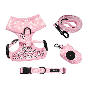 Ensemble de harnais pour chien anti-traction personnalisé, collier rembourré doux, laisse et harnais de qualité supérieure pour chien, distributeur de sacs à déjections canines, accessoires pour animaux de compagnie - Product Image 3