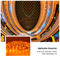 Bande lumineuse LED orange ambre jaune personnalisée 1800K 2000K 2300K 2835 LED Flex Strip Tape Light 12V 24V