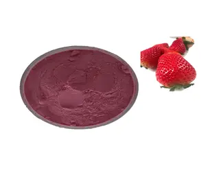 OEM&ODM&Bulk Factory Supply Natural Strawberry Fruit Powder Strawberry Juice Powder Strawberry Powder Soluble In Water