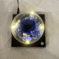 Lampe à fleurs à lévitation magnétique LED, lumière flottante en forme de rose, protection oculaire électrique, contrôle tactile simple E26, design moderne, anniversaire
