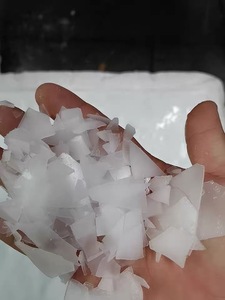 Máy Làm Đá Vảy 300kg/ngày với động cơ điều khiển tự động để bảo quản thủy sản thương mại - Product Image 5