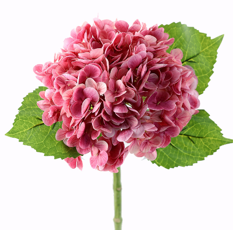 rose rouge