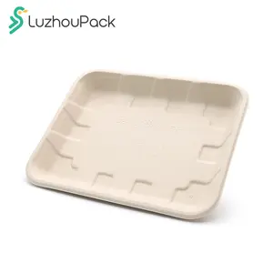 LuzhouPack Custom Disposable Rectangle Sugarcane Bagasse Pulp Custom Biodegradable Paper Meat Fruit Food Tray