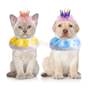 Disfraces de princesa gato, sombrero de cumpleaños, conjunto de bufanda, lindo encaje, gato, Bandana, Tiara, corona de gato, <span class=keywords><strong>accesorios</strong></span> - Product Image 1