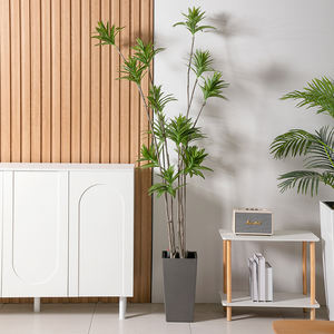 Yizhitang Mini Jardinière Classique Auto-Arrosante <span class=keywords><strong>de</strong></span> 8,6 Pouces pour la Maison et <span class=keywords><strong>le</strong></span> Jardin Pot <span class=keywords><strong>de</strong></span> Fleurs en Plastique PP - Product Image 2