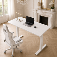 Cadre de bureau debout électrique réglable en hauteur à double moteur, 2 niveaux, en tube carré de fer durable