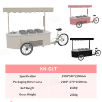 Mobiele ijskar met vriesvak, te koop. Draagbare koelplaat gelato kar voor buitenactiviteiten.