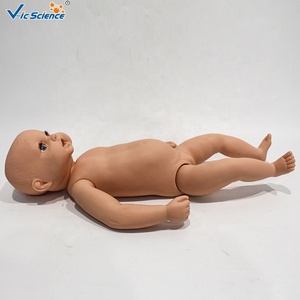 Modelo Anatómico <span class=keywords><strong>de</strong></span> <span class=keywords><strong>Esqueleto</strong></span> <span class=keywords><strong>de</strong></span> Bebé <span class=keywords><strong>de</strong></span> PVC Avanzado, Modelo Médico <span class=keywords><strong>Humano</strong></span> para Uso en Escuelas <span class=keywords><strong>de</strong></span> Medicina y Aulas - Product Image 5