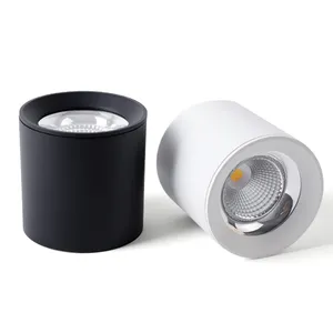 30w发光二极管表面安装筒灯cob非穿孔聚光灯3000K DALI可调光项目安装天花板筒灯