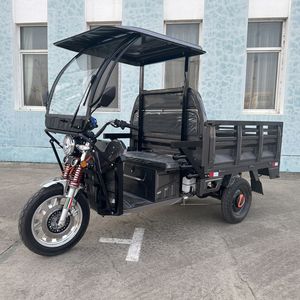 Triciclos de carga de tipo abierto eléctrico para adultos, triciclos de carga de camión eléctrico de 3 ruedas con cubierta de lluvia a la venta con <span class=keywords><strong>EEC</strong></span> y COC - Product Image 1