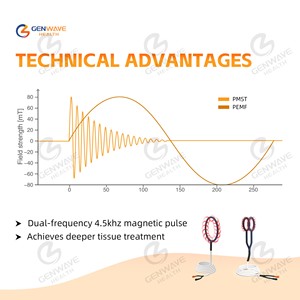 Perangkat Terapi Magnetik Pemf Loop Equine Horse Treatment yang Laris Manis, Terapi Medan Elektromagnetik Berdenyut Portabel - Product Image 2