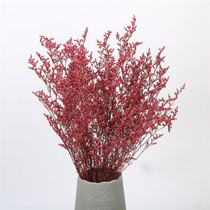 Suspension de fleurs séchées pour carte de remise de diplôme, accessoires de décor, cadeau naturel en lycra, statue préservée, herbe des amoureux, démodis <span class=keywords><strong>gyrans</strong></span> - Product Image 6