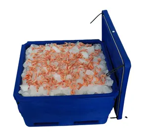 Geïsoleerde vis container voor live vis transport en opslaan