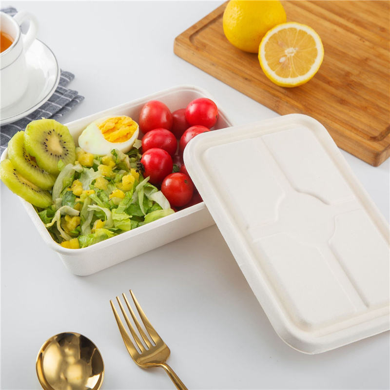 Caja de comida de bagazo