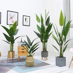 Plante artificielle en pot en soie, type Canna Lily, style Bonsaï, pour salon, 110cm, 140cm, 160cm, 180cm, 210cm - Product Image 1
