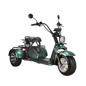 2022 новая модель 60 в 20 Ач съемный аккумулятор 3 колеса мощная корзина для гольфа с 2 сидениями Электрический скутер