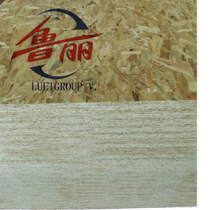 Planche à particules pour cigarette électronique, bas prix, modèle osb3, geelong bois, 126, contreplaqué, 16mm, ih - Product Image 1