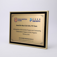 Plaque de bouclier en alliage d'aluminium haut de gamme Business Awards Plaque de récompenses personnalisée vierge