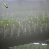 Clips de greffage pour tomates, poivrons et aubergines, clips pour cucurbitacées, clips pour greffages de tomates