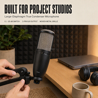 Microphone à condensateur à large diaphragme P220 pour studios d'enregistrement et applications scéniques, micro vocal cardioïde filaire