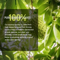 Produit tendance Chinaherbs, marque privée, thé aux feuilles de corossol, favorise le métabolisme, sachet de thé aux feuilles de corossol séchées pour la perte de poids