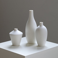 Vase créatif en céramique de luxe léger, mini-conteneur hydroponique haut de gamme pour fleurs fraîches, bouteille vide pour aromathérapie