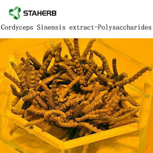 Prezzo di fabbrica <span class=keywords><strong>Cordyceps</strong></span> Sinensis estratto 30% polisaccaridi in polvere - Product Image 4