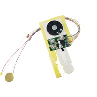 Moduli di Registrazione Vocale Programmabili con Chip Musicale Direttamente dalla Fabbrica, Scatole per Cartoline Personalizzate con Uscita Audio, Altoparlanti da 40mm
