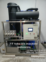 SINDEICE prix usine monophasé puissance 1000 KG Tube Machine à glace Offre Spéciale Tube Machine à glaçons
