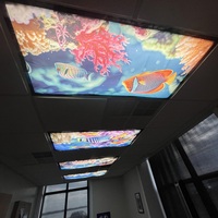 Couvre-lampes fluorescents pour plafonniers de salle de classe 2x4 pieds, autocollants décoratifs magnétiques, diffuseurs d'éclairage de bureau, couvre-plafonds