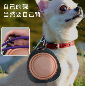 קערת אוכל ניידת מתקפלת מחומר TPR לחיות מחמד, מתאימה לקמפינג, טיולים, לכלבים וחתולים, יצרן סיטונאי - Product Image 6